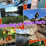 Mote Park