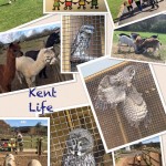 Kent Life